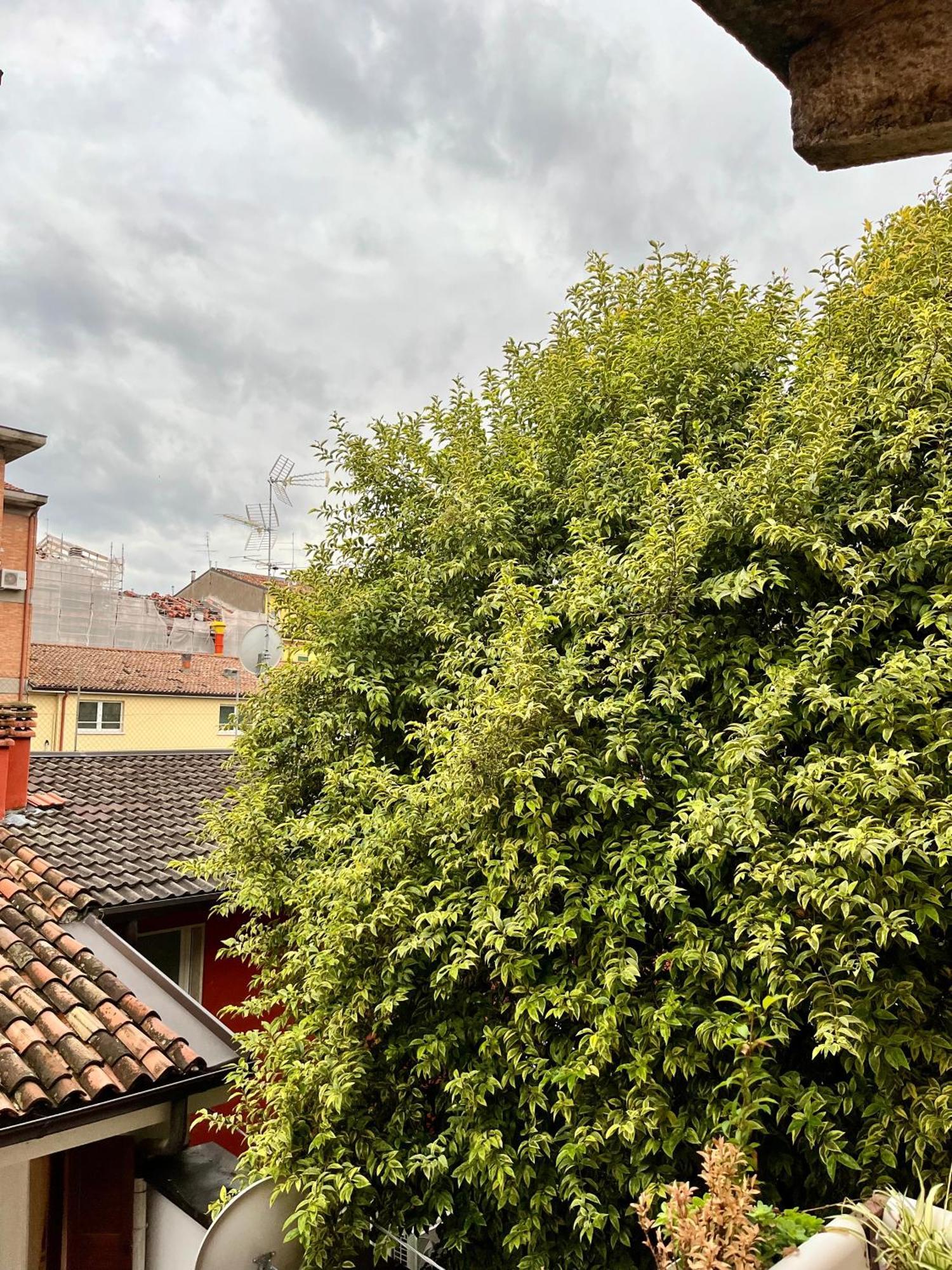 San Bernardino Monolocale Con Balcone Lejlighed Verona Eksteriør billede